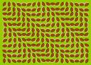 Impresionante ilusión óptica