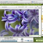10 alternativas online al Photoshop
