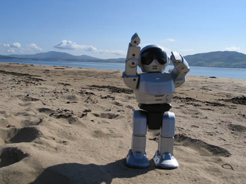robot playa