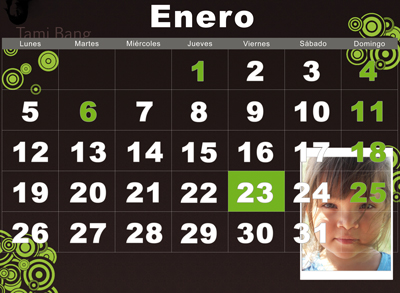 Calendario 2009