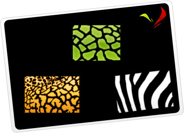 Photoshop custom shapes animal print