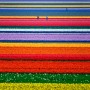 Campos de color