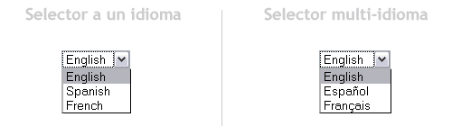 Selector multiple idioma