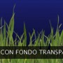 Césped con fondo transparente