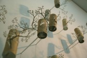 Corner Forest (Serendipitous-Tangents shot)