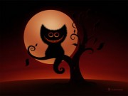 Halloween Kitty