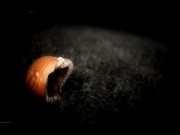 Hollow