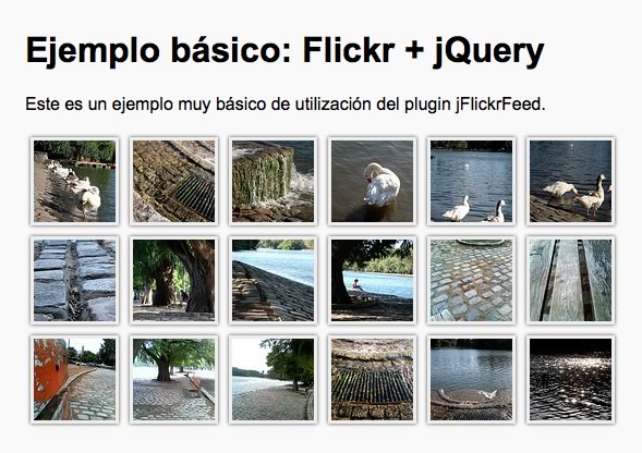 flickr feed