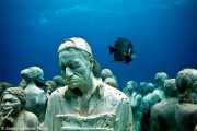 The silent evolution
