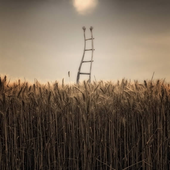 Un campo de trigo visto de frente, con una escalera en el centro cuyos barrotes terminan en manos apuntando al cielo. Luz enrarecida.