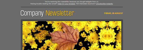 Plantillas Newsletter