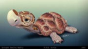 POR Turtle - Salvador Ramirez Madriz