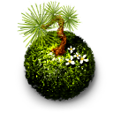 Kokedama moss ball