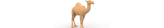 Modelos de animales en 3D
