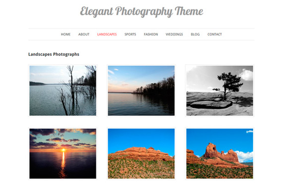 Theme para galería WordPress