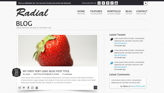 Theme para blog en PSD