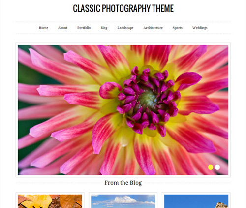 Theme para portfolio en WordPress