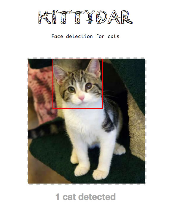 detectar rostros de gatos con javascript