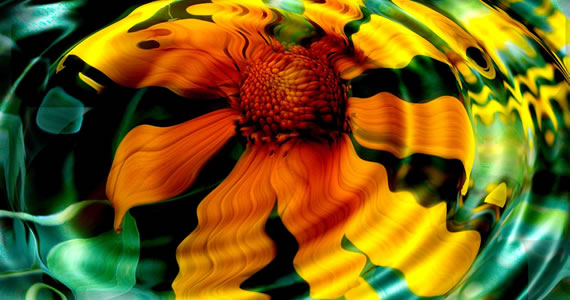 Girasol sumergido en agua