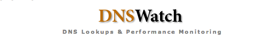 dns watch