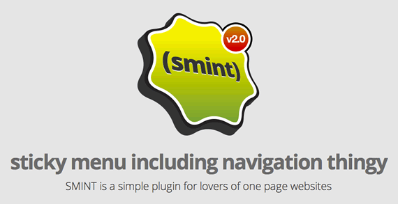 smint one page recurso