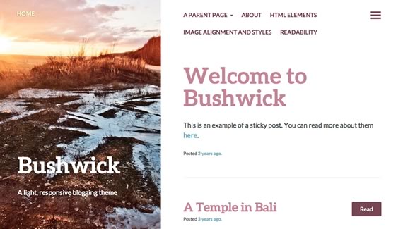 Bushwick: WordPress Template
