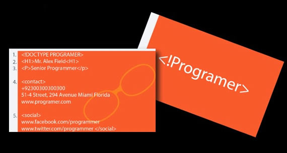 Programer 1.0 Business Card