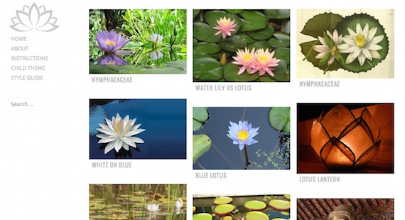 Water Lily: plantilla liviana para WordPress