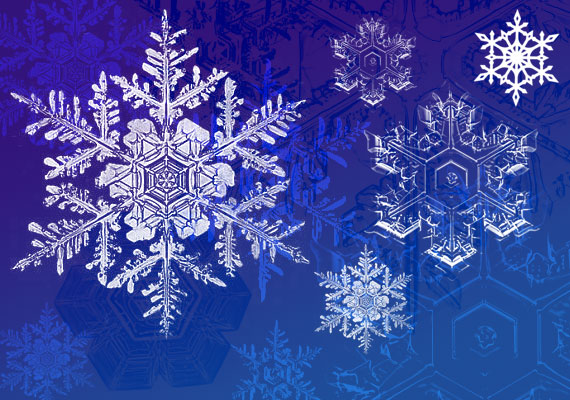 Snowflake Brushes