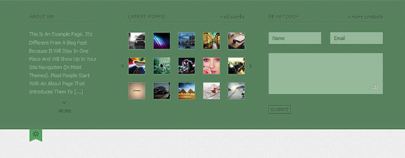 Theme para portfolio en Wordpress