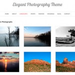 Theme para galería Wordpress