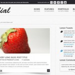 Theme para blog en PSD