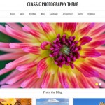 Theme para portfolio en Wordpress