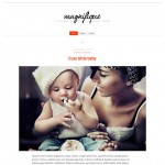 Magnifique: Theme para blog personal en Wordpress