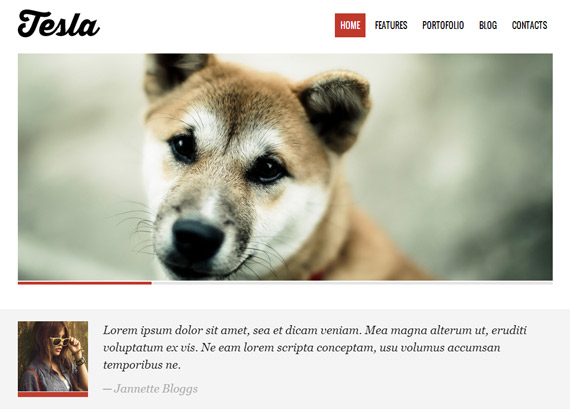 Tesla: Theme para WordPress con PSD