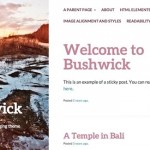 Bushwick: Wordpress Template